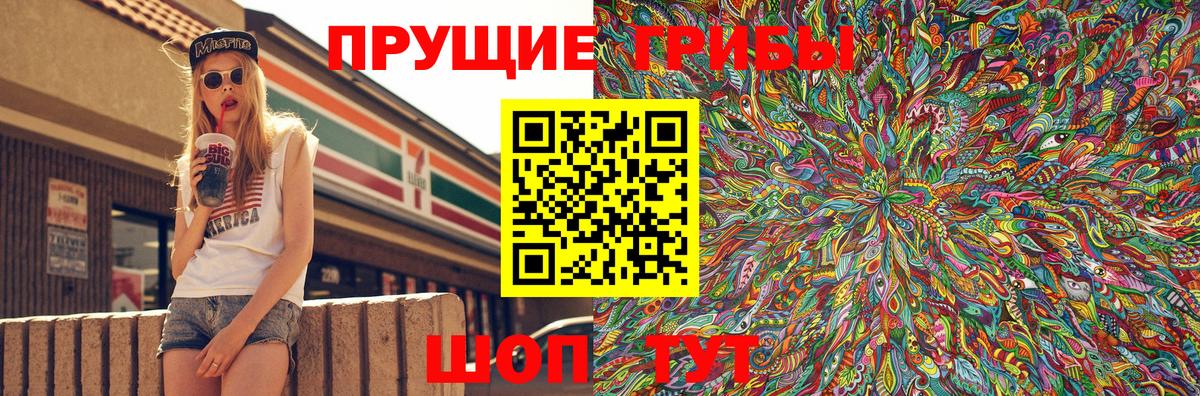 Псилоцибиновые грибы Psilocybe Осинники